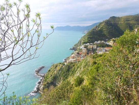 Casa Maia Daire La Spezia Oda fotoğraf